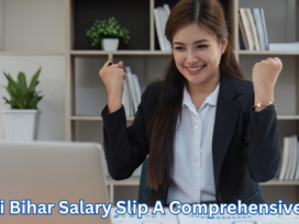 E-Nidhi Bihar Salary Slip